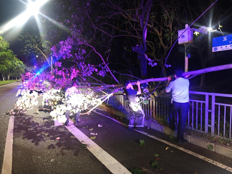 1758685748653417.jpg 图片9.jpg