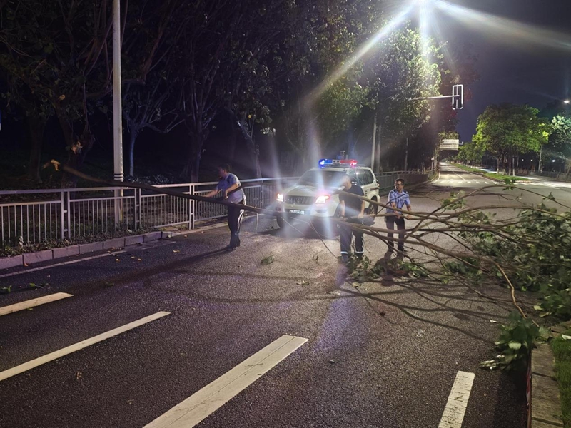 1758685520135434.jpg 图片7.jpg