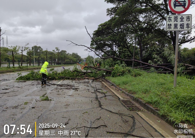 1758685463565742.jpg 图片2.jpg