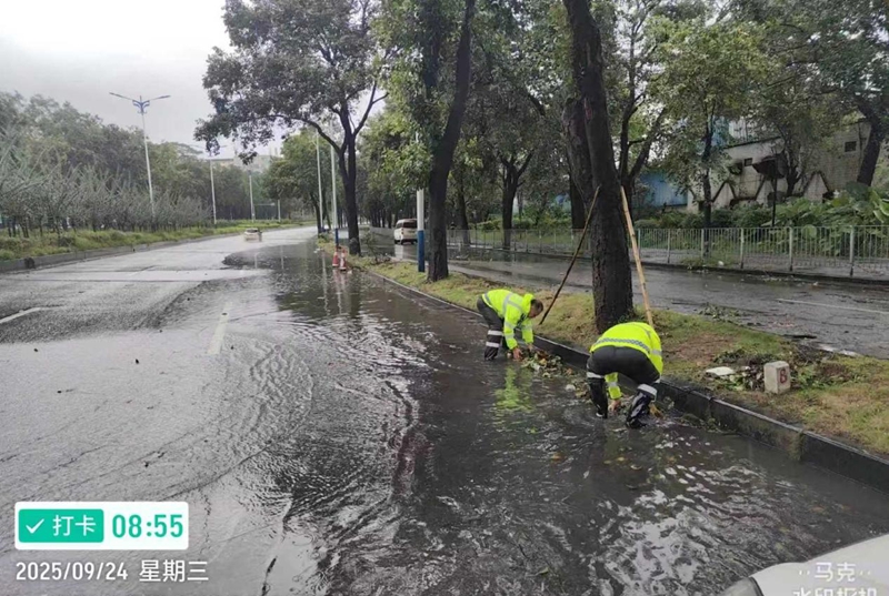 1758685552944749.jpg 图片3.jpg