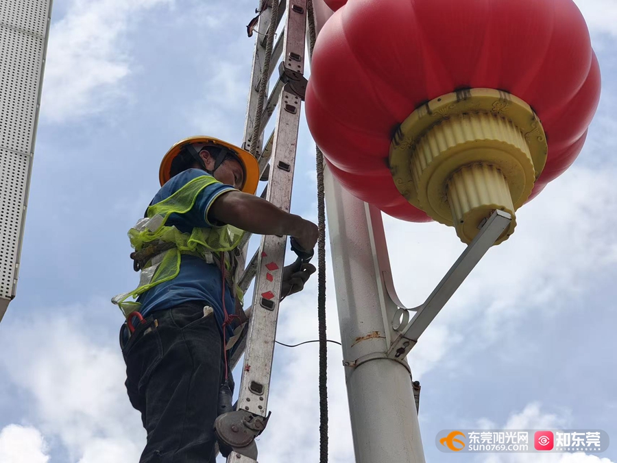 1758526803402250.jpg 防台风灯笼拆除2.jpg