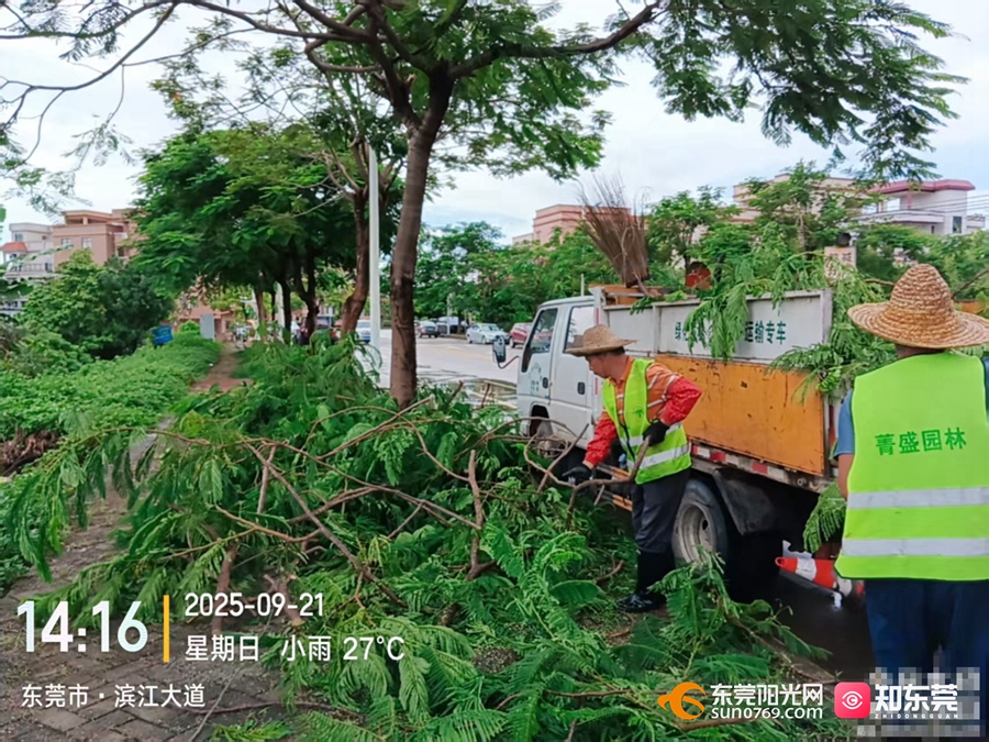 1758515595352891.jpg 微信图片_20250922103014_174_17.jpg