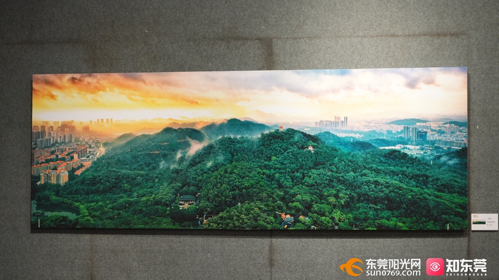 1759150538883023.jpg 微信图片_20250929203018_3_67.jpg