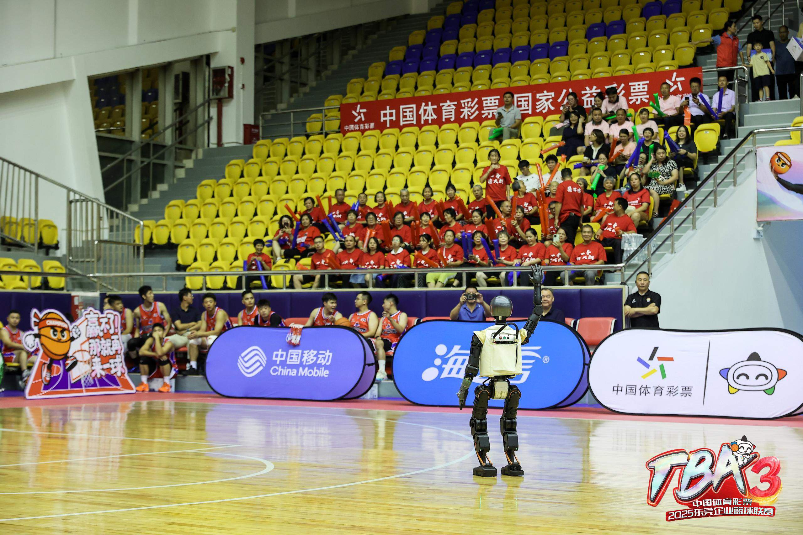 arrb--159159--ai6_prod_73423211_217780--4_副本.jpg
