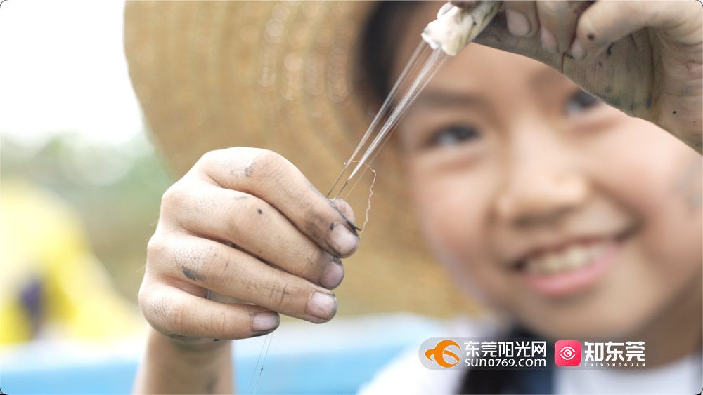 1760269761933256.jpg 微信图片_20251012194837.jpg