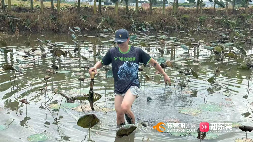 1760269451901107.jpg 微信图片_20251012194210.jpg