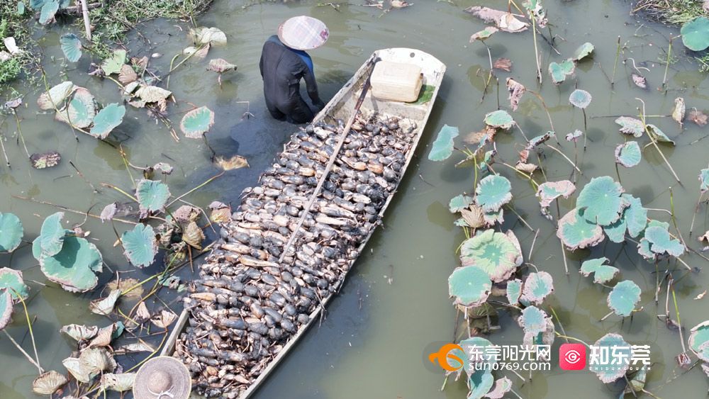 1760269799235199.jpg 微信图片_20251012194709.jpg