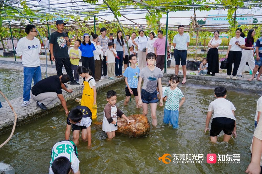 1761996685848728.jpg 微信图片_20251101192921.jpg