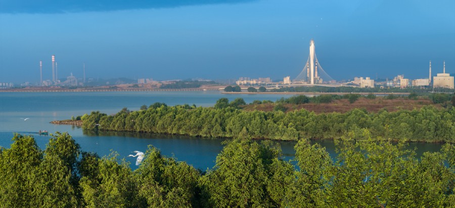 1762164998488359.jpg 滨海湾湿地-滨海湾-涂涛~2.jpg