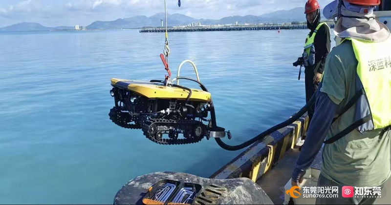 1762159056568401.jpg 微信图片_20251103162650_23_453.jpg