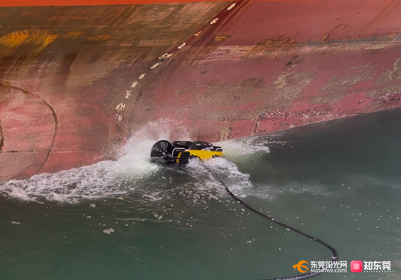 1762159098868237.jpg 微信图片_20251103162659_24_453.jpg