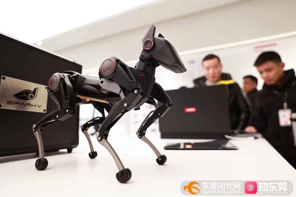 1762939908444384.jpg 图片7.jpg