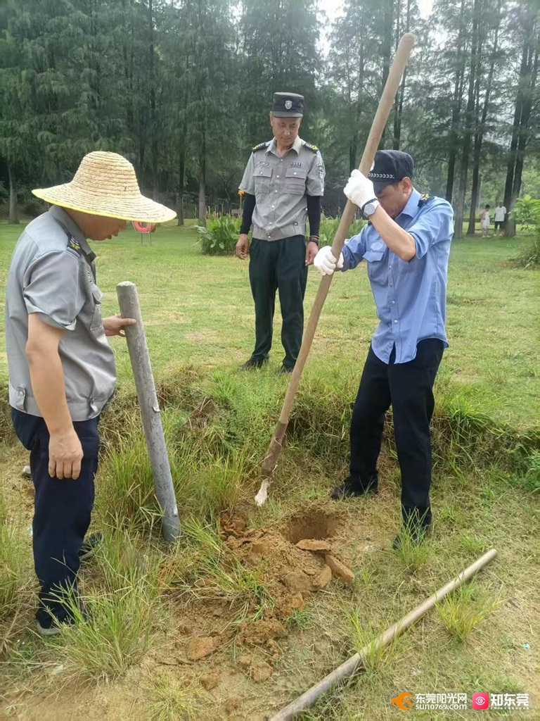 1762998539806274.jpg 3496ccea16f5ca8b0969aba3afd8b071.jpg