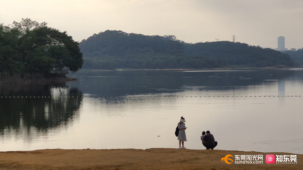 1762998567843300.jpg 5.jpg