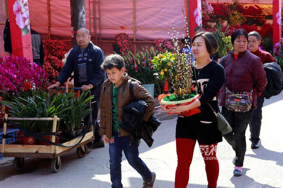 【莞视界】春暖花开 市民逛花市过年忙