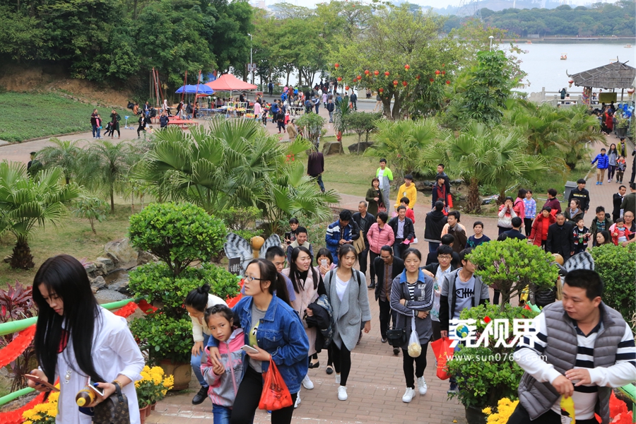 今年春节假期天气晴朗,气温和暖,东莞各个公园里游客如织,不少市民趁