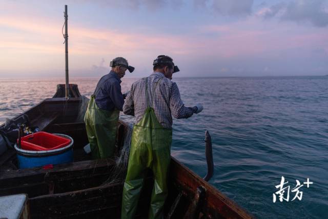 天空开始变亮，杨举波和超叔不断提线，不断有渔获上钩。