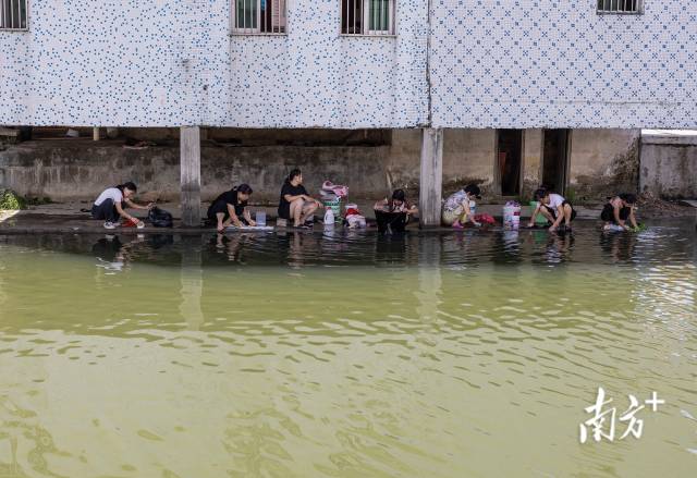 6月21日清晨，揭阳普宁下寨村的前溪，妇女们边聊天边洗衣物。