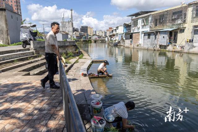 村里的前溪是练江的支流，陈喜亮正在与一位洗衣服的阿姨聊起家常。