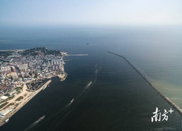 2015年，练江入海口，渔船结队出海捕鱼。