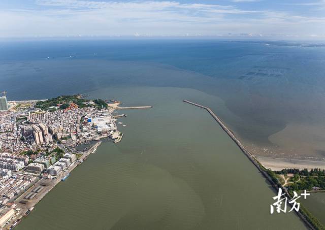 2025年，练江入海口，河水和海水已不再泾渭分明。