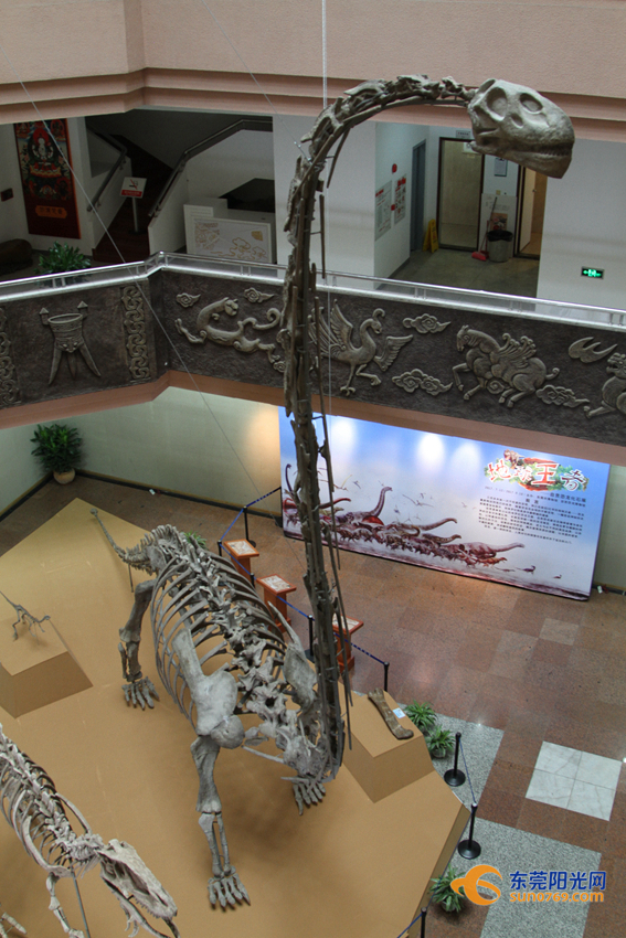 东莞恐龙博物馆图片