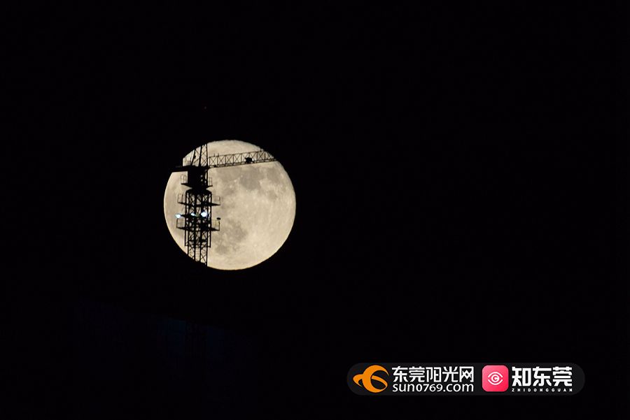 DSC_0705_副本.jpg
