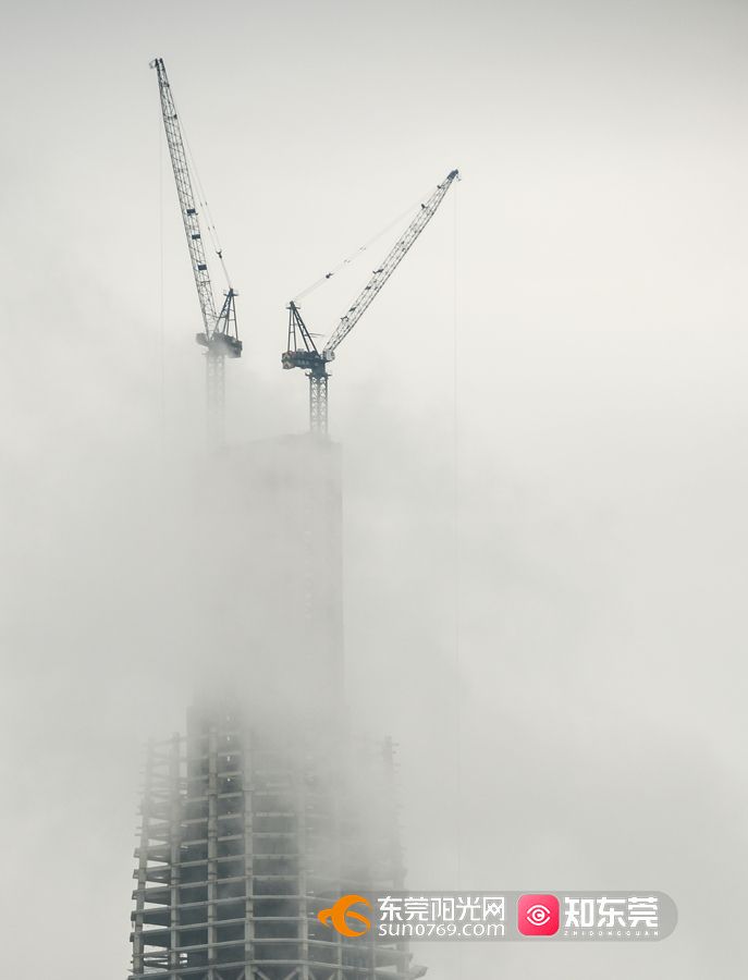 TXY_0990-2.jpg