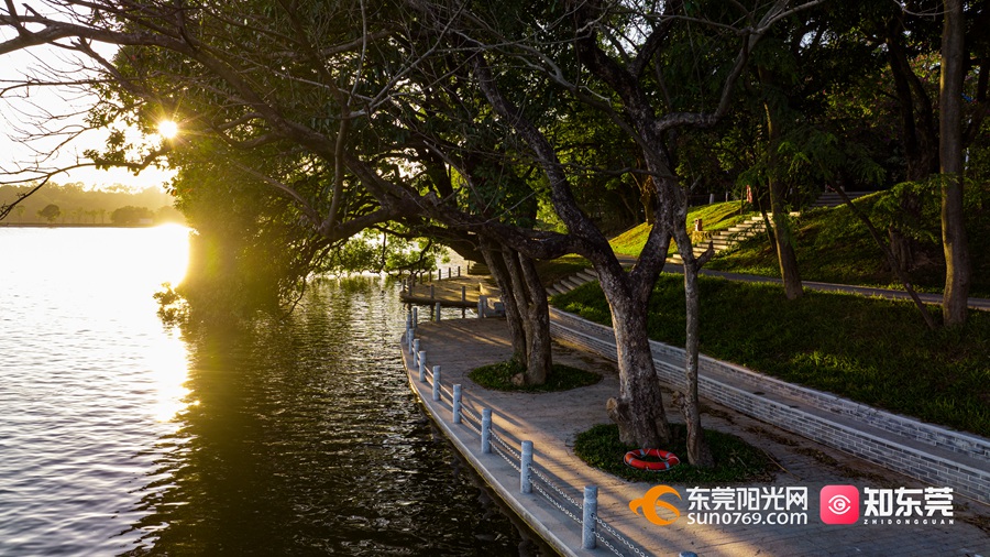 同沙碧道 (2).jpg