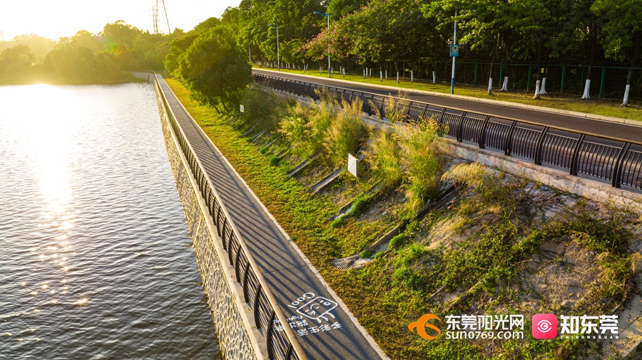 同沙碧道 (1).jpg