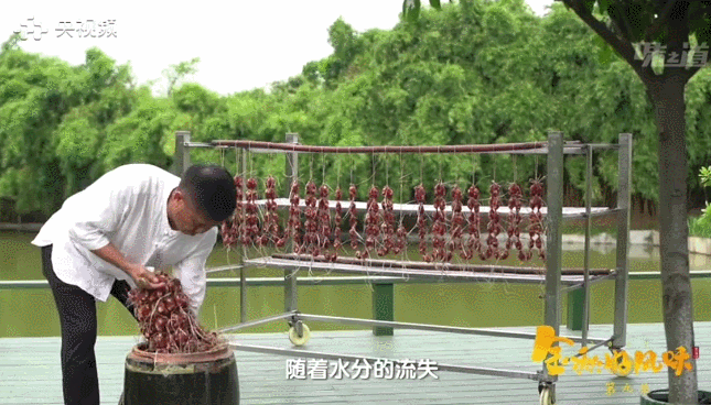 2.gif