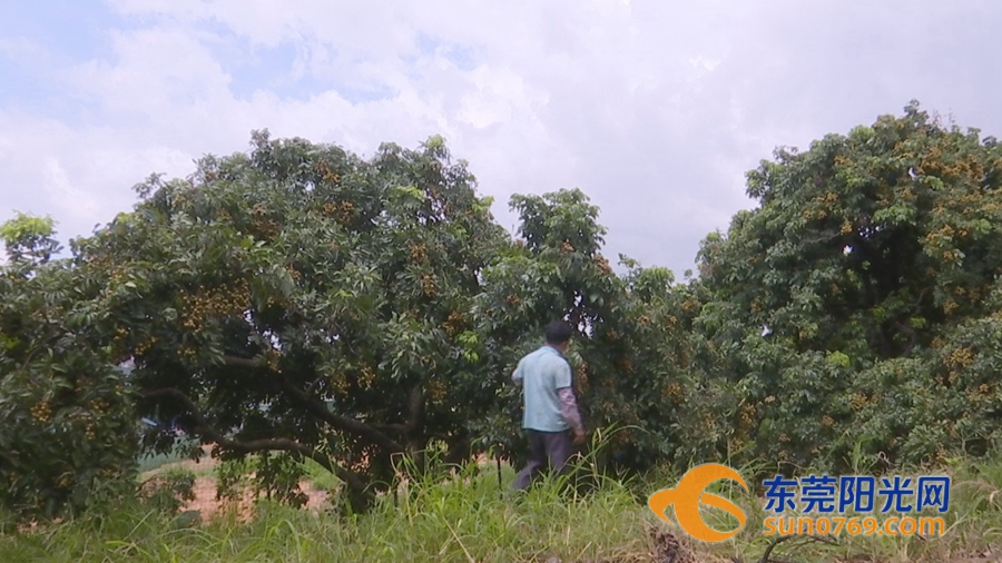 1594884428540251.jpg 2020716144852.jpg