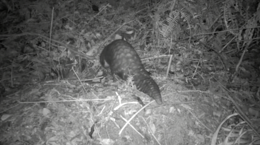 1625540506139661.jpg 1.jpg