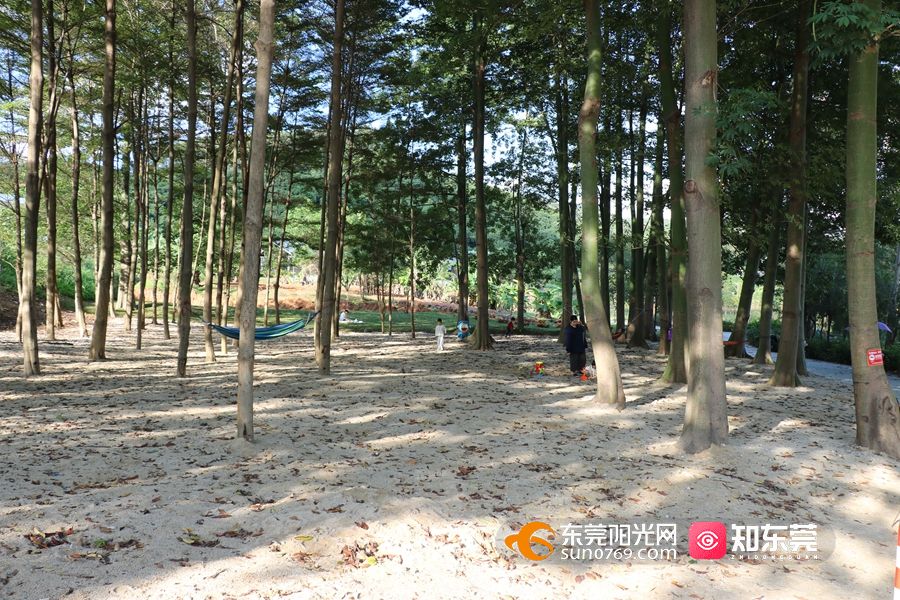 1669712580958802.jpg 20221129153458.jpg