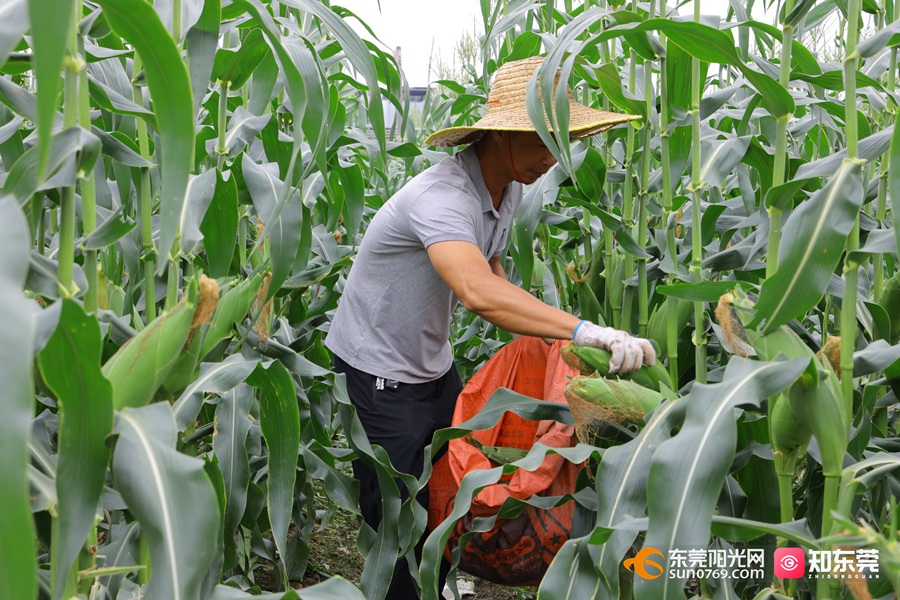 1684114422332172.jpg 202351591124.jpg