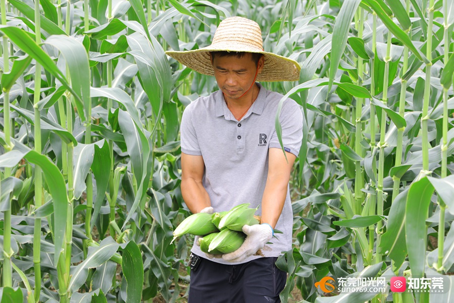 1684114415380224.jpg 202351591147.jpg