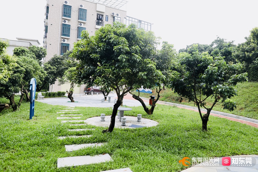 1693358977981651.jpg 20238309351.jpg