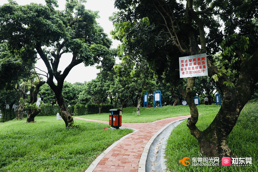 1693358982502145.jpg 20238309410.jpg