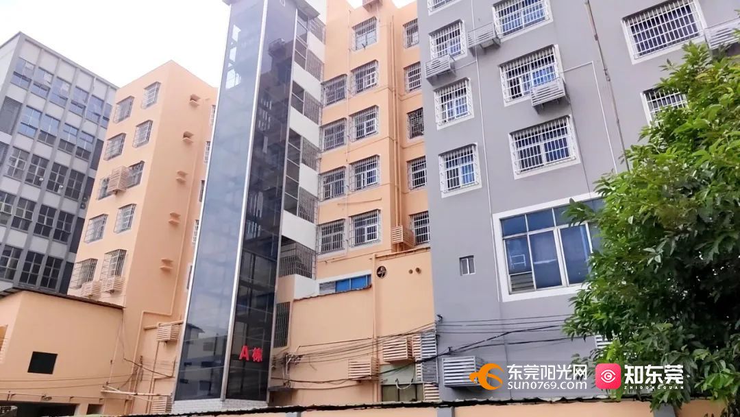 1696756867252530.jpg 2023108105517.jpg