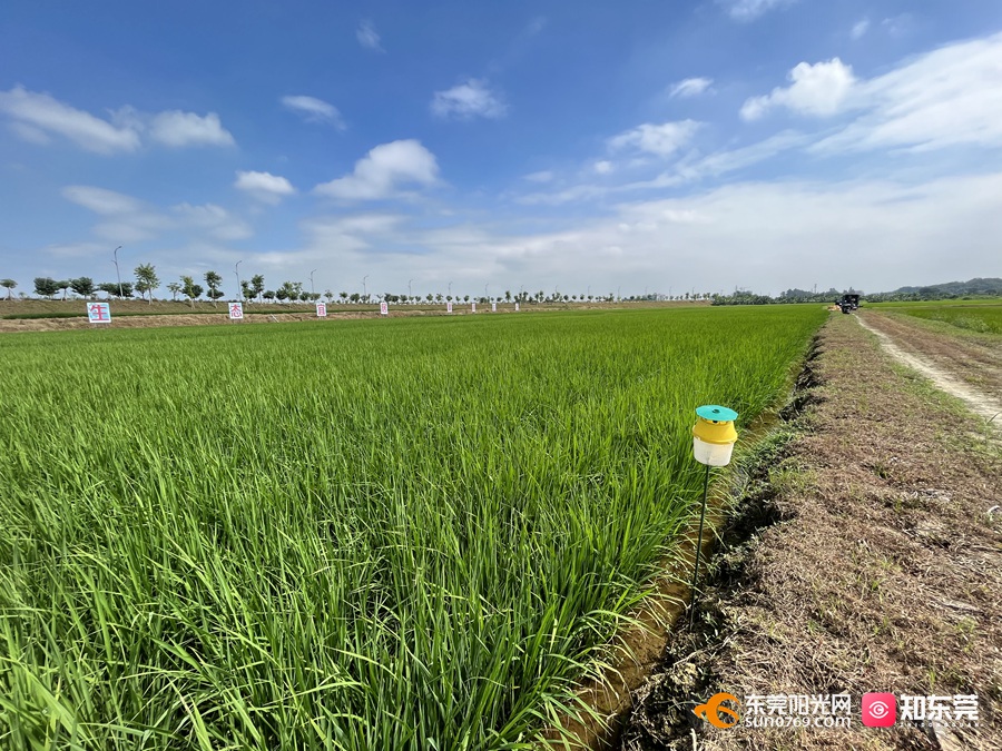 1697419867548487.jpg 2023101691341.jpg