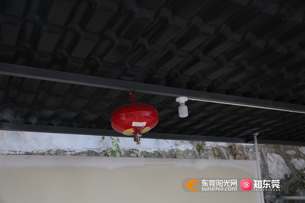 1709780795843266.jpg 20243785245.jpg