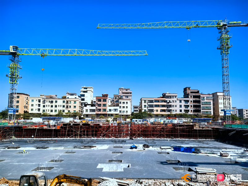 1731982754863418.jpg 微信图片_20241119095840.jpg