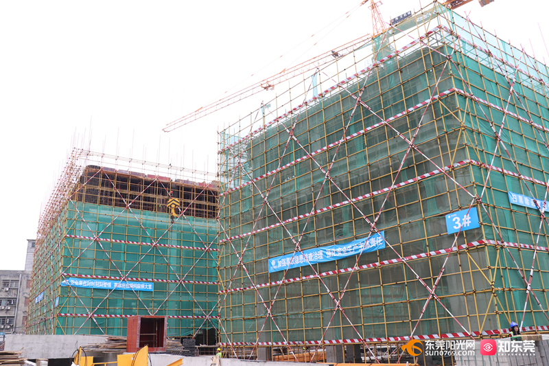 1739845540675836.jpg 20252189513.jpg