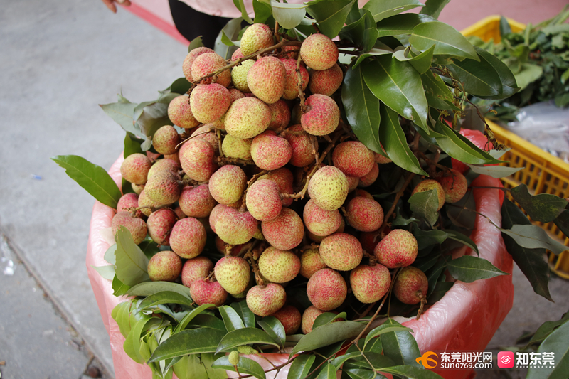 1747188144139606.jpg 202551493359.jpg