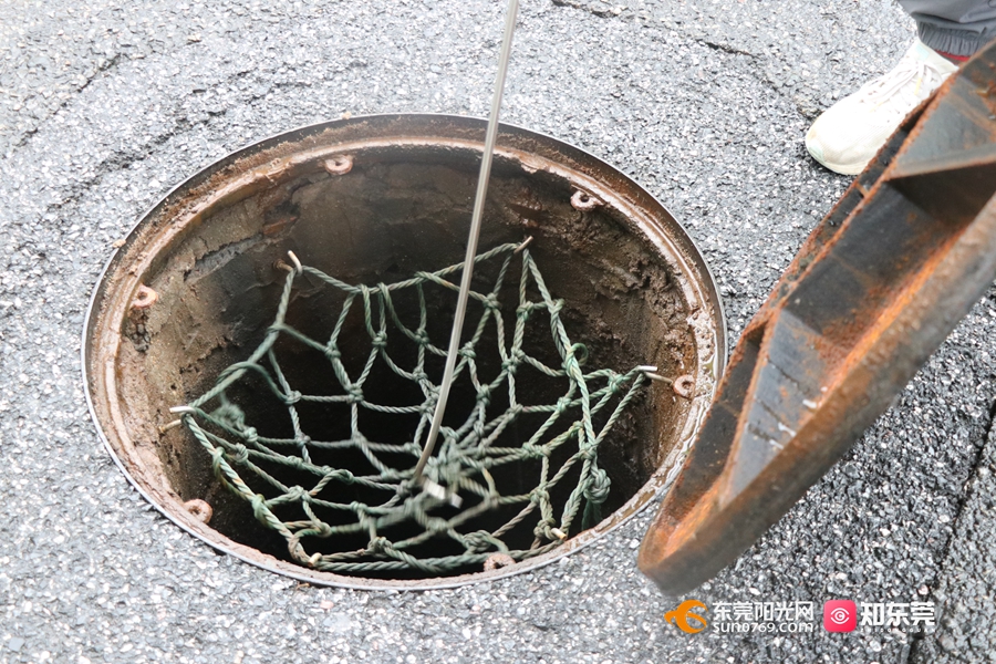 1747796342221913.jpg 1.jpg