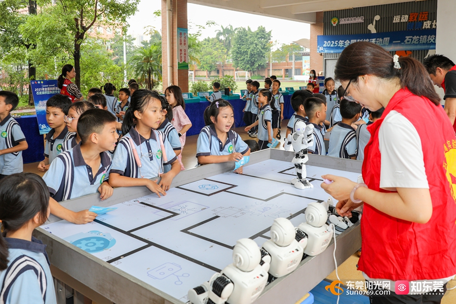 1747793301433044.jpg 4.jpg