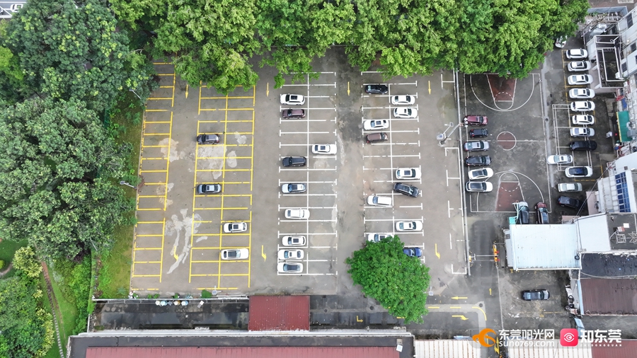 1758853833922976.jpg 2.jpg