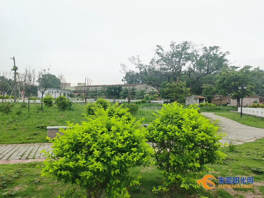 1590742043469492.jpg 南坑村公园.jpg