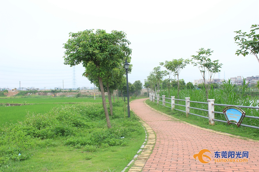 1590742081362612.jpg 绿道改造,将贯穿整个南坑村.JPG