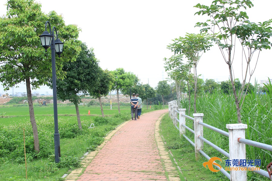 1590742057997047.jpg 附近居民经常到绿道处散步.JPG